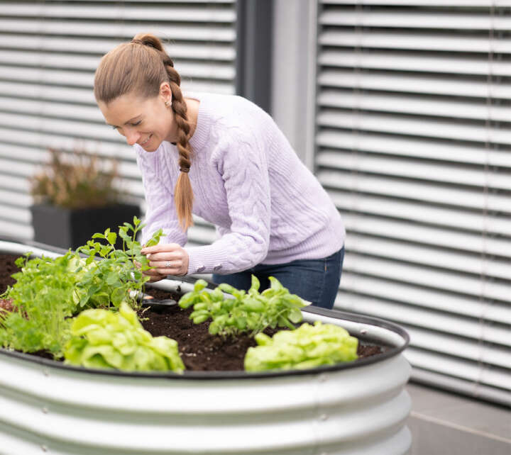 WESTMANN Hochbeet Grow Faster
